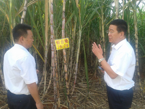 人生就是博·(中国区)官方网站