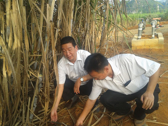 人生就是博·(中国区)官方网站