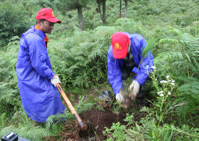 �������ǲ���(�й���)�ٷ���վ