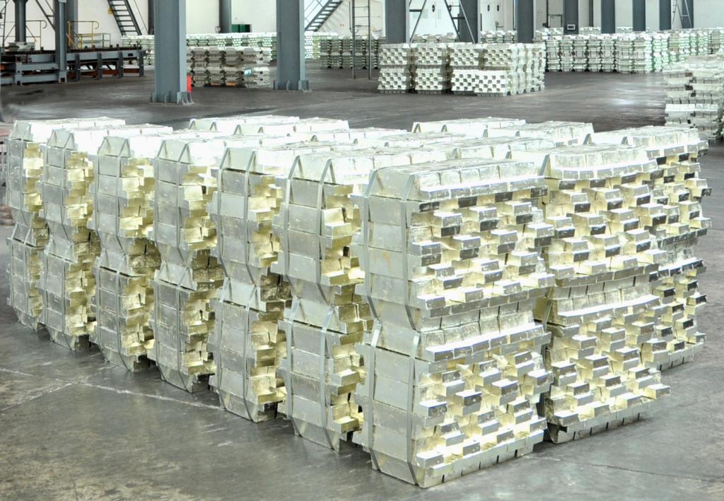 ��������ר����